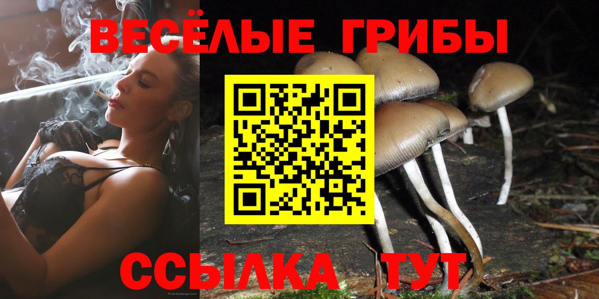 Псилоцибиновые грибы GOLDEN TEACHER Новочеркасск